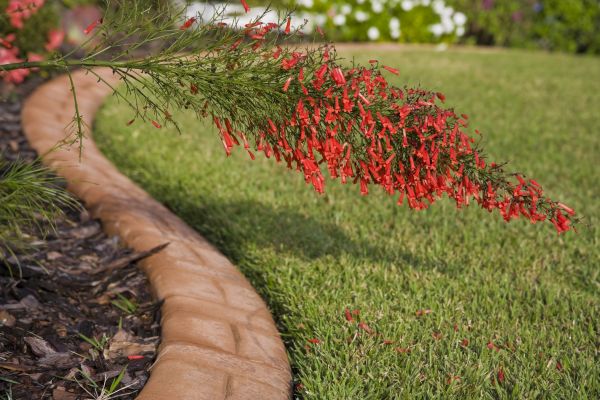 Brick Edging in Longmont