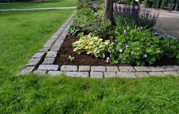Stone Edging Installation in Longmont