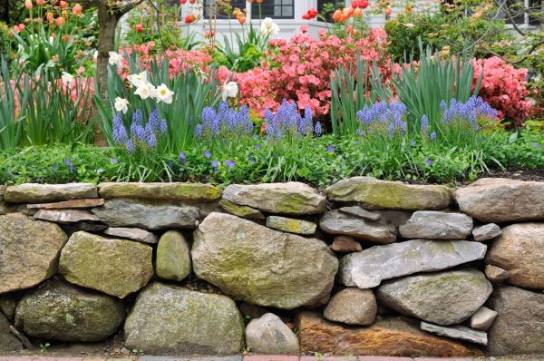 Stone Wall Hardscaping in Longmont