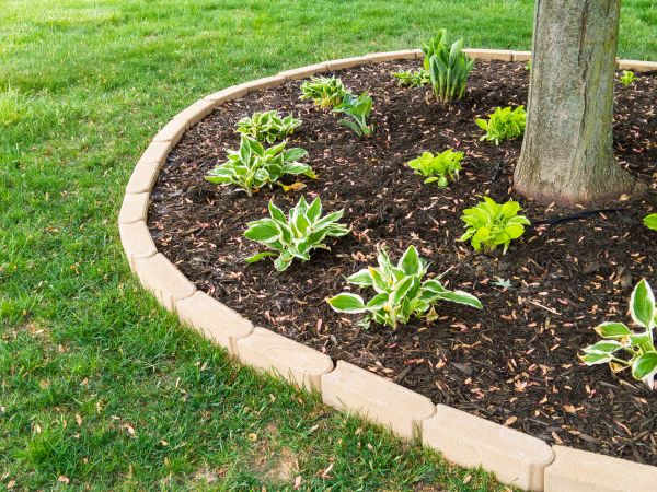 Stone Border Installation in Longmont