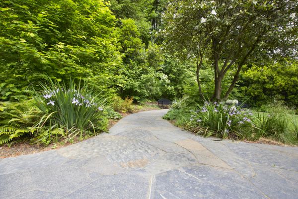 Stone Hardscape Service in Longmont